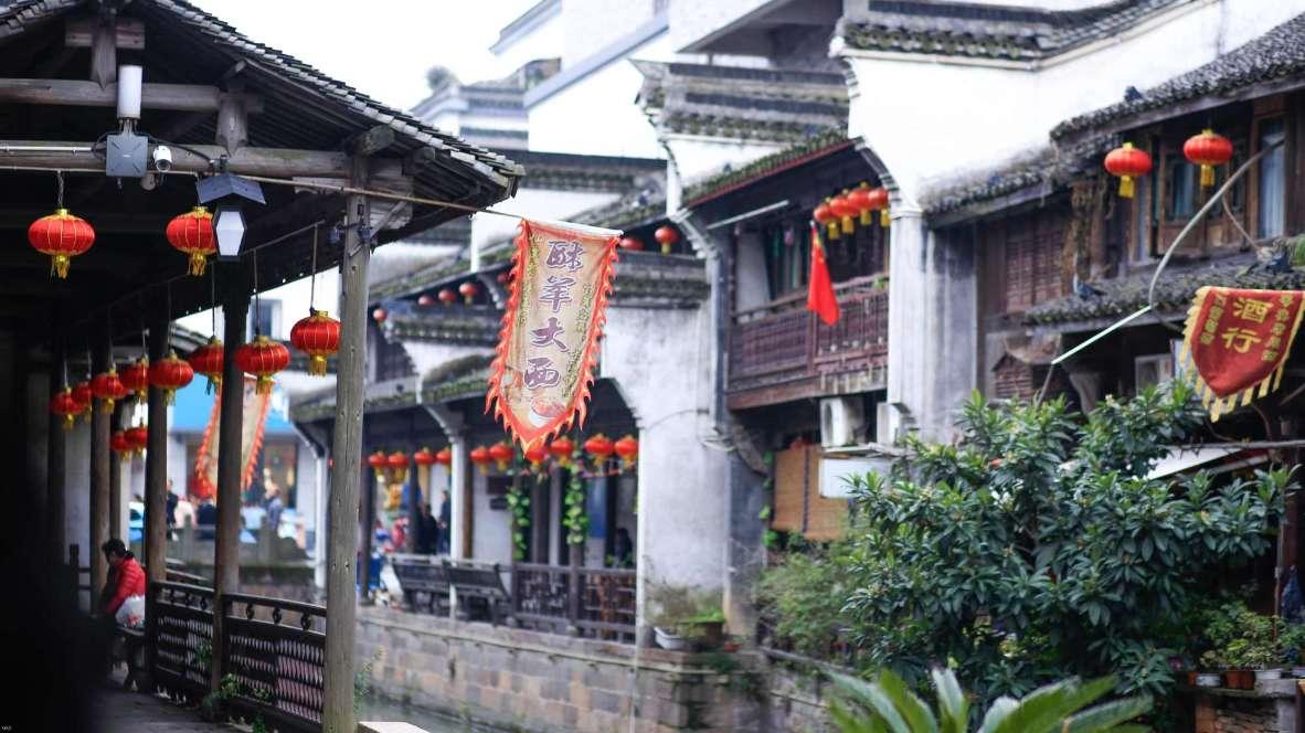 天鹅森林逃脱